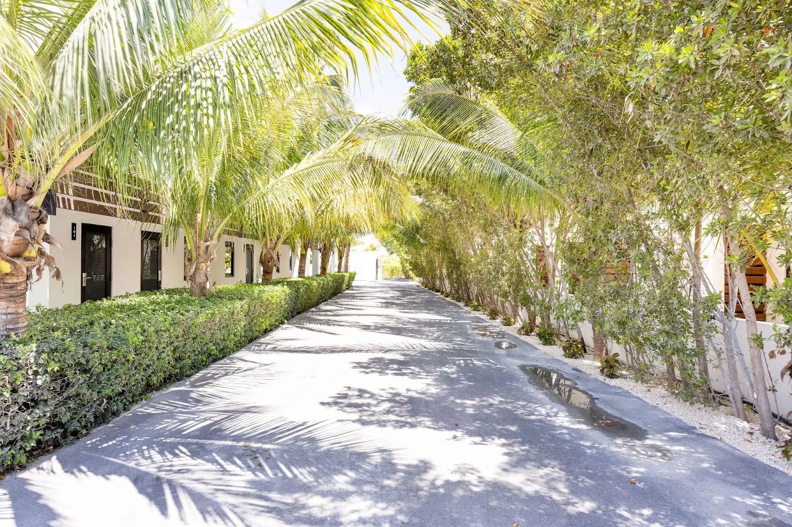 Seascape on Grace Bay Hotel and Suites